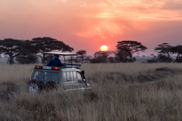 Kenya Safari Adventure